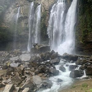 Meet your Posher, Lily-rose